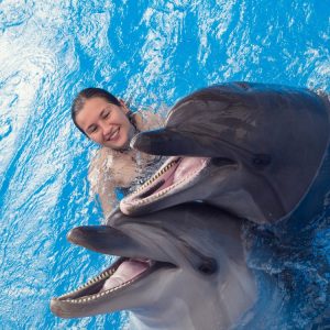 Dolphin Experience