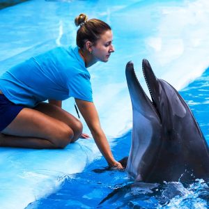 Dolphin Encounter