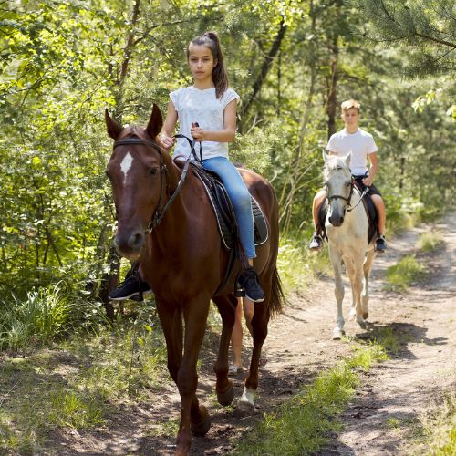 Off Road & Horseback Riding Tour