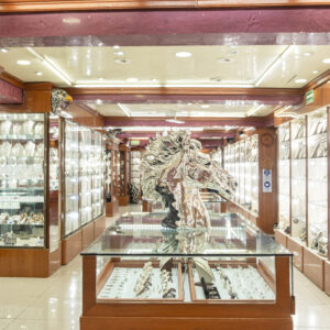 SHOPPING TOUR POR  CANCÚN